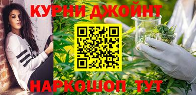 СК Бердск