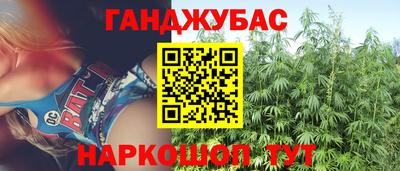 СК Бердск