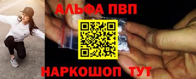 СК Бердск