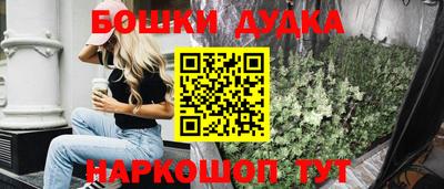 СК Бердск