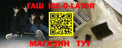 СК Бердск