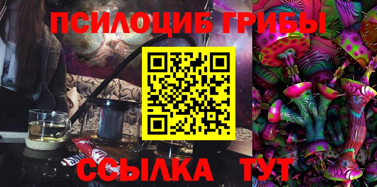Псилоцибиновые грибы Cubensis  Псилоцибиновые грибы прущие грибы  купить наркотики цена  Вход с VPN  Чайковский 